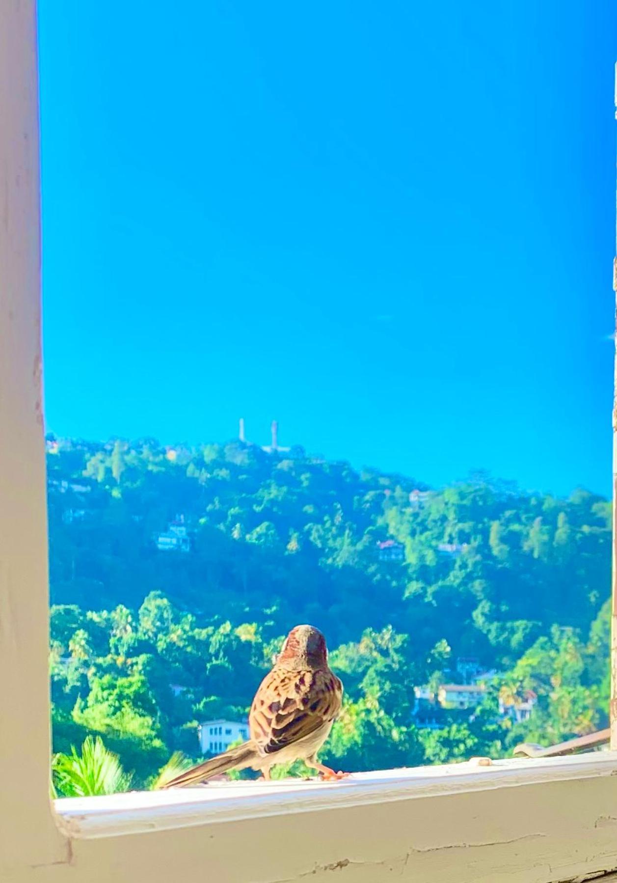 Gangula Villa 캔디 외부 사진